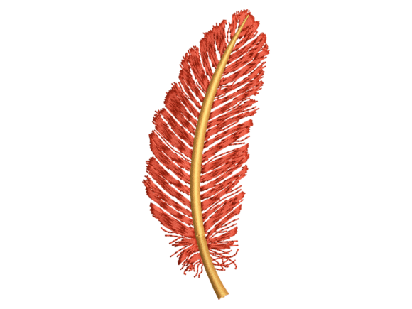 Red Decorative Feather Embroidery